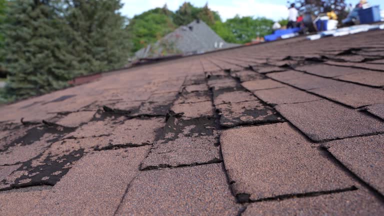 Best Emergency Roof Repair Services  in Maytown, PA